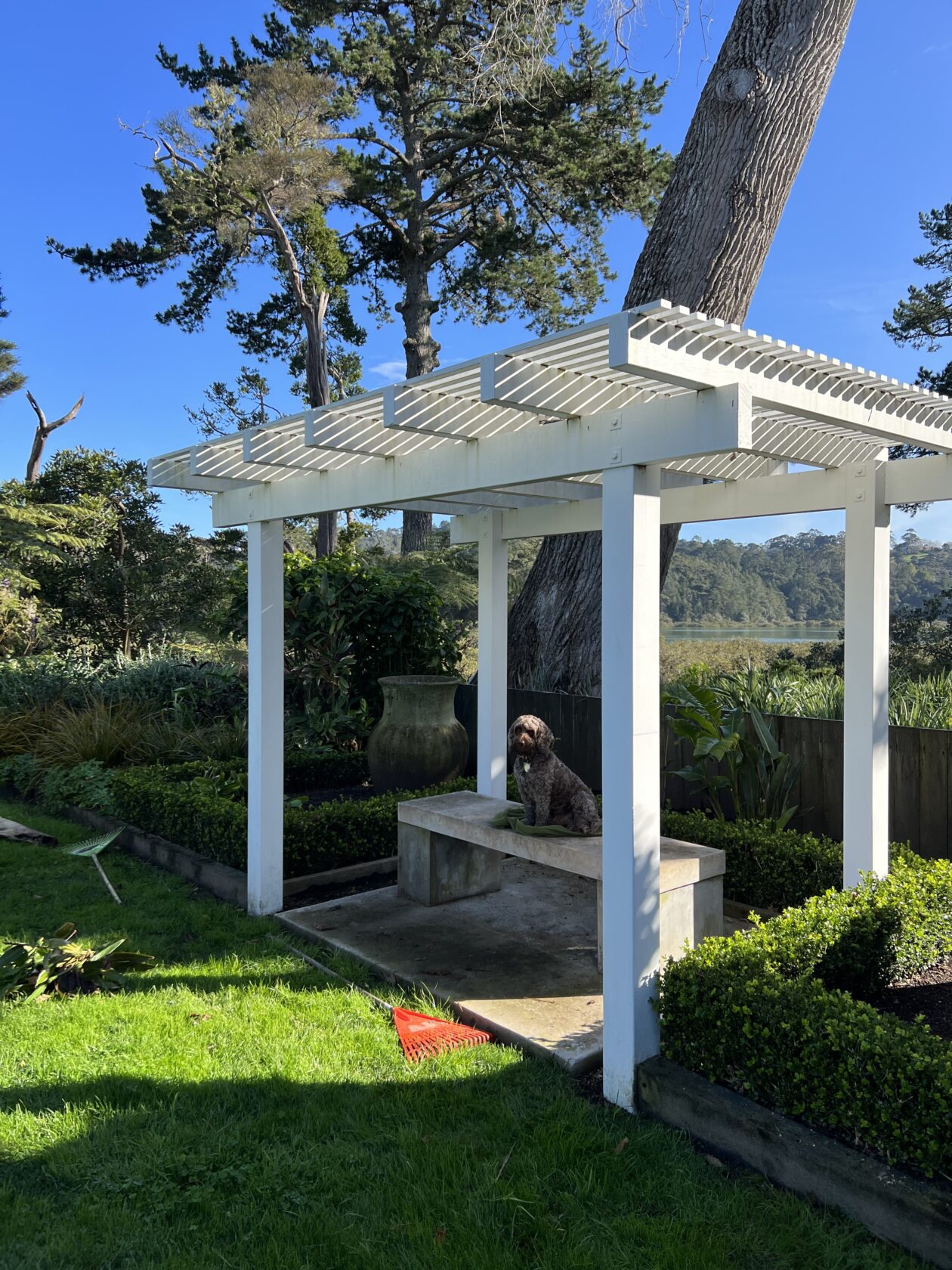 Garden view with layered hedging and gravel path