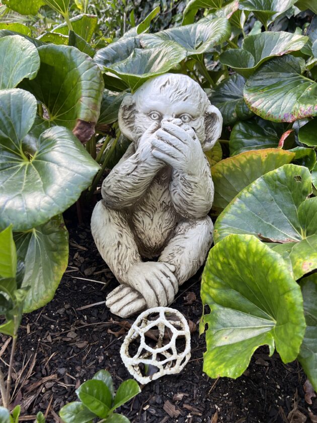 Planting palette with evergreen specimens