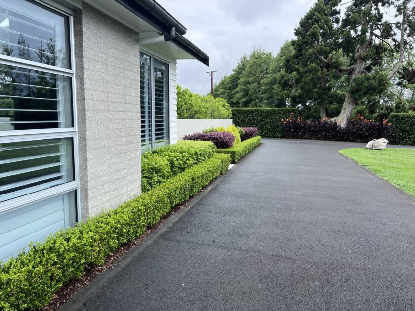 Timber deck framed by soft planting