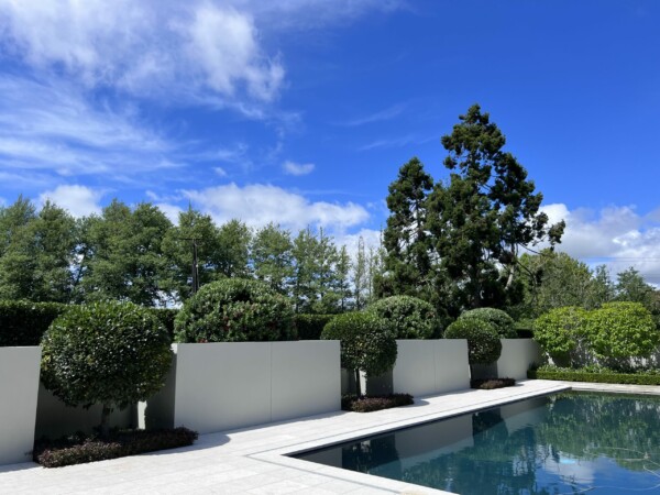 Steel planter and gravel walkway detail