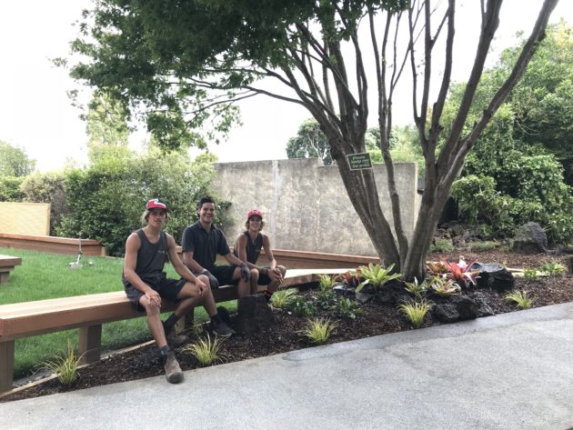 Seasonal container display bursting with colour