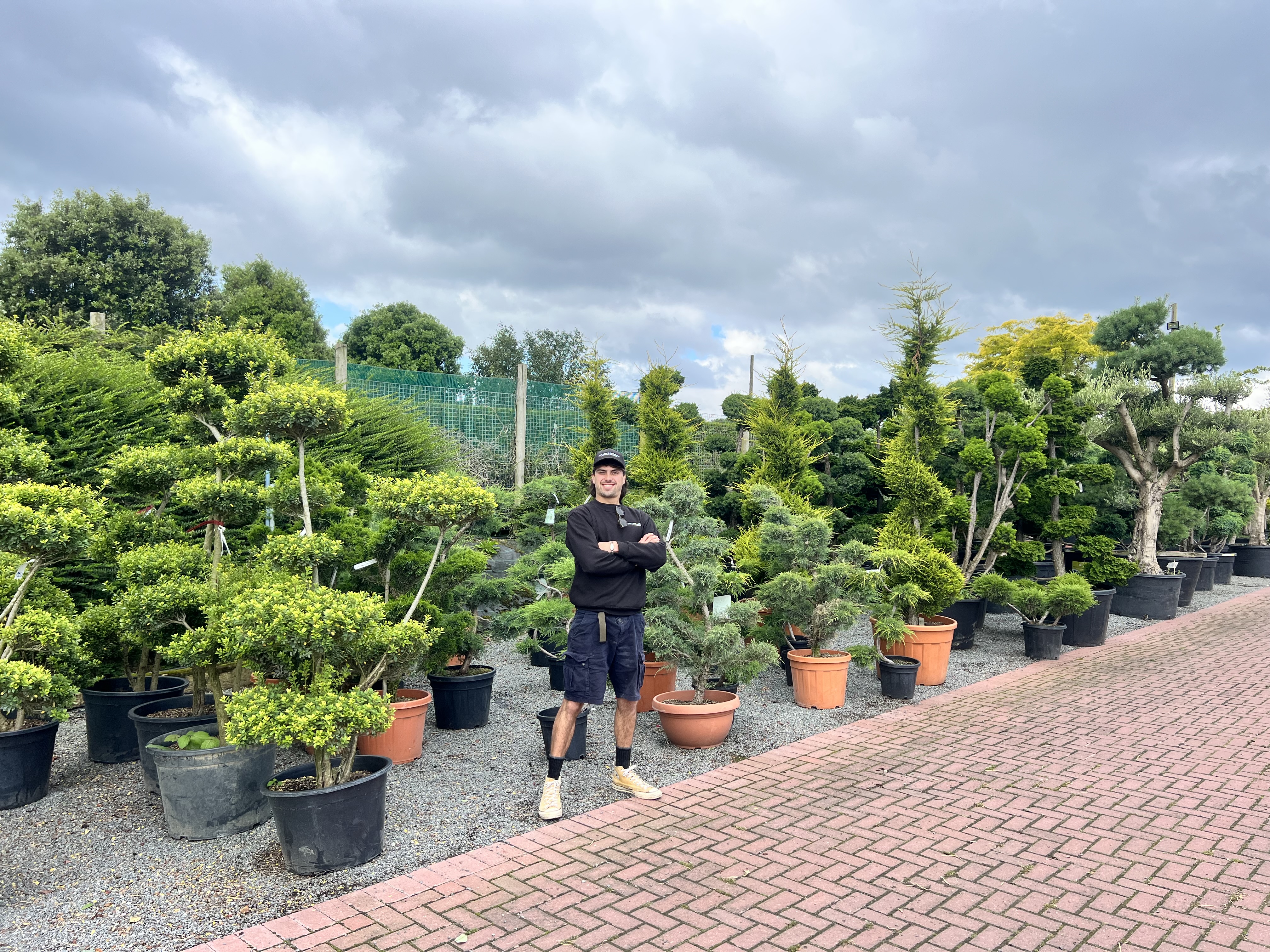 Urban London garden with layered planting
