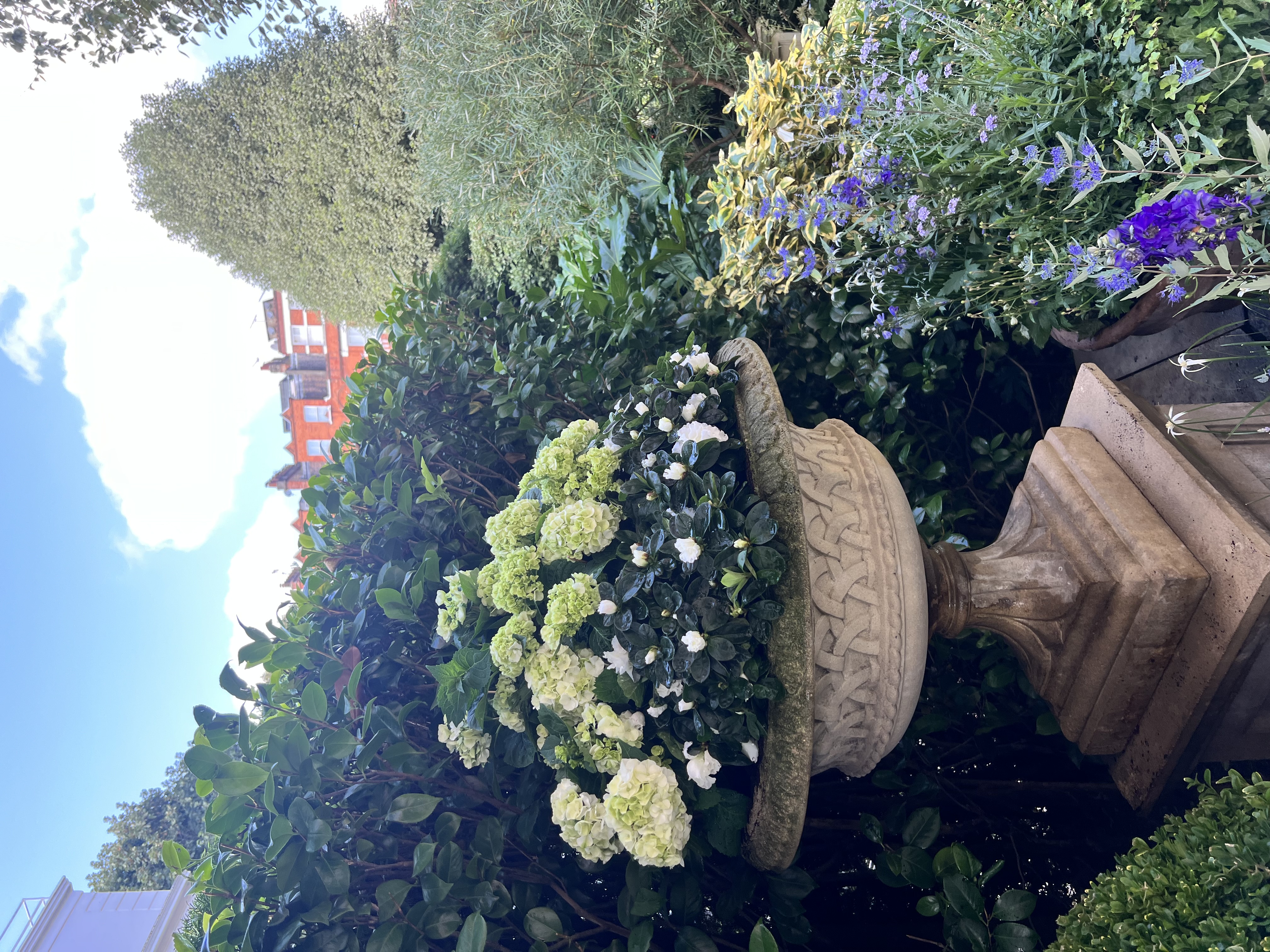 Garden design and planning