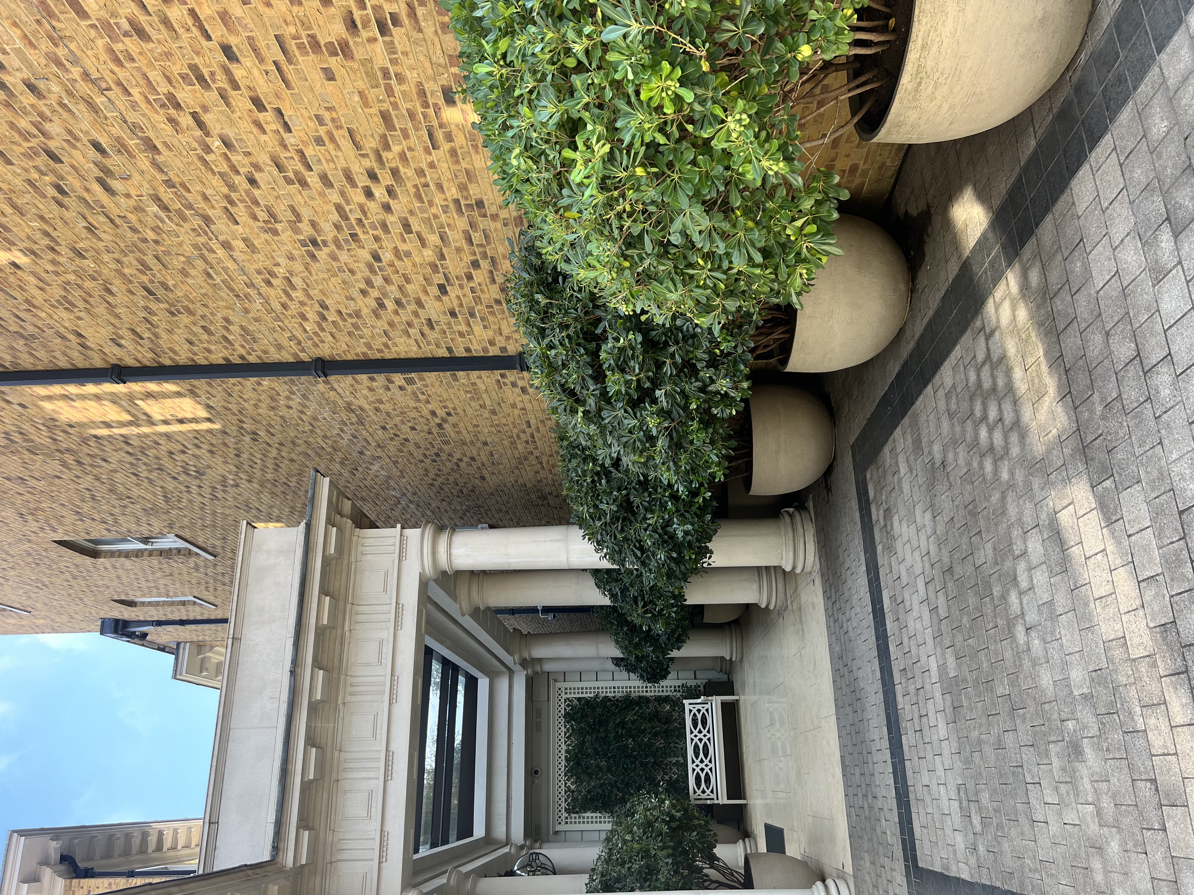 Contemporary urban garden design